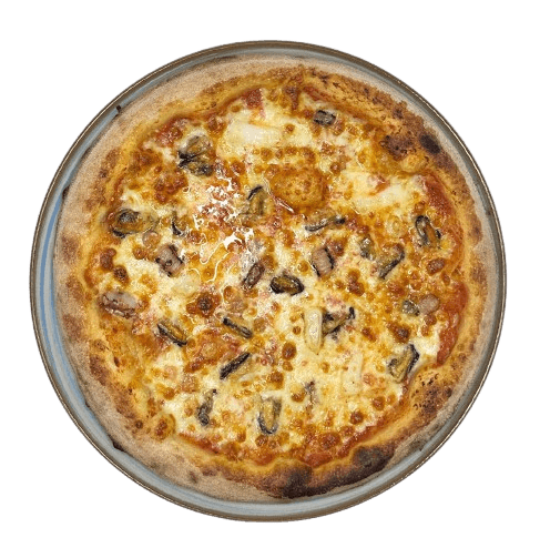 Pizza Marinara