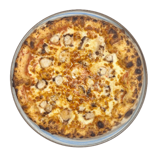 Pizza Oktopus